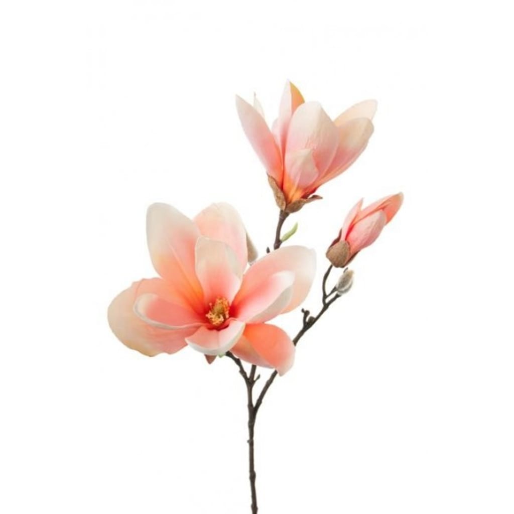 Magnolia 65cm Oransje