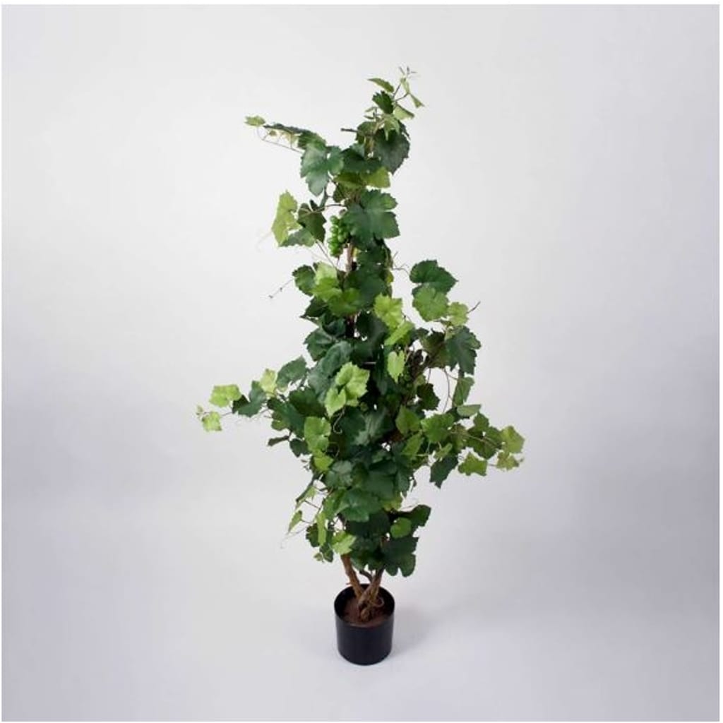 Drueplante 130cm