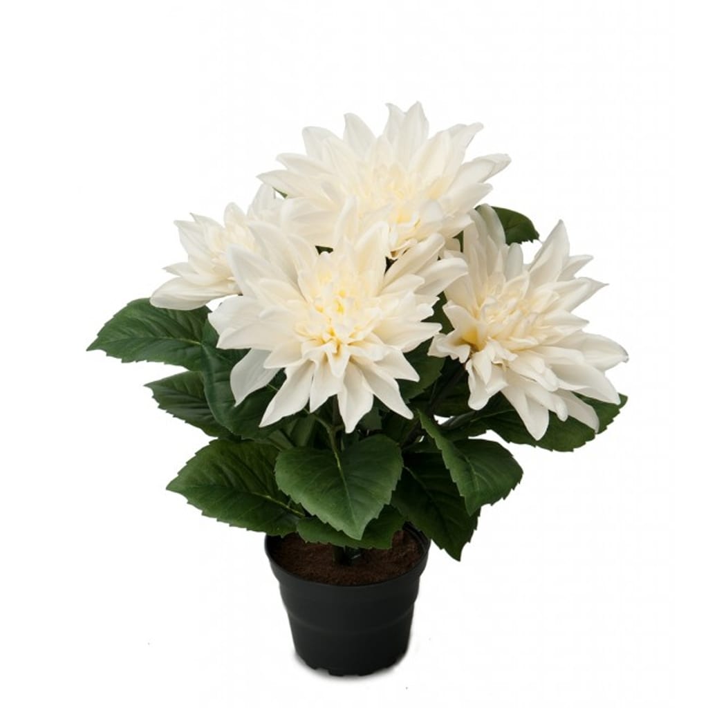 Dahlia 30cm Hvit