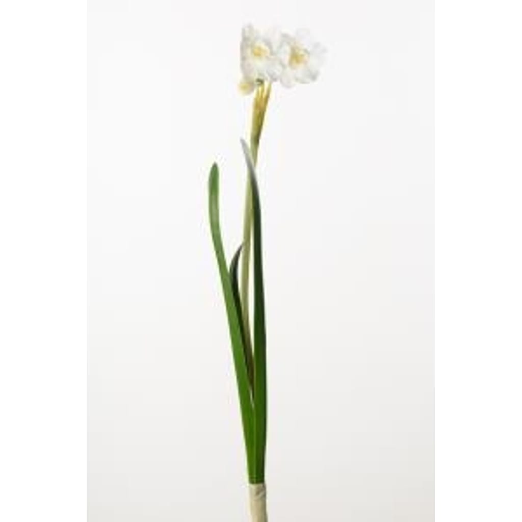 Pinselilje 35cm