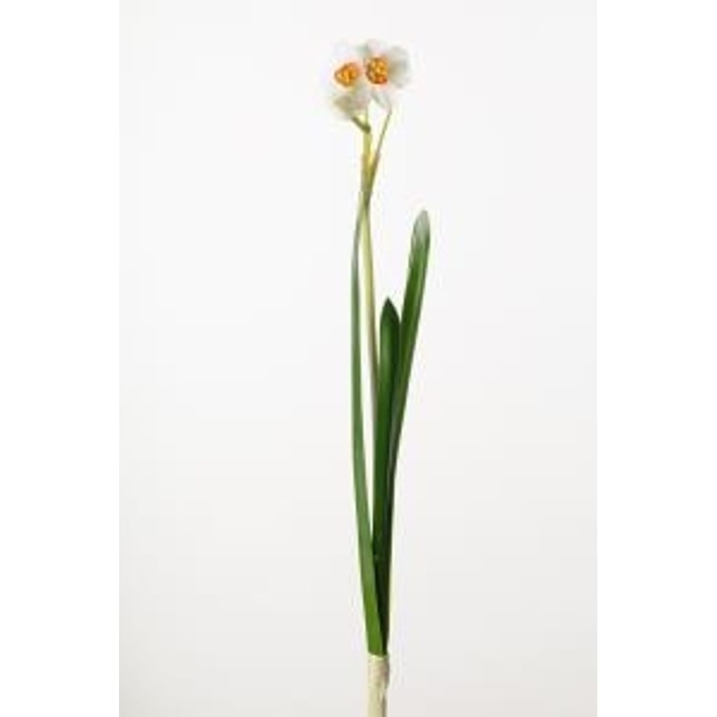 Pinselilje 35cm