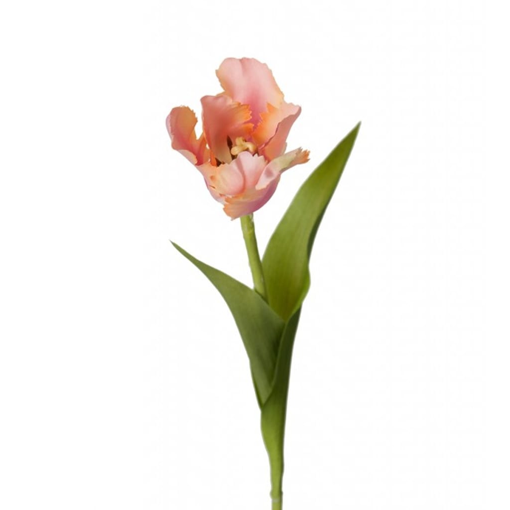 Tulipan 37cm