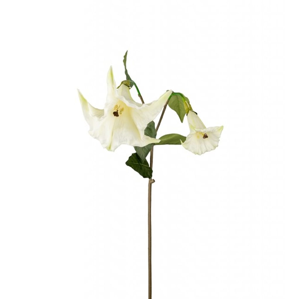 Engletrompet 90cm