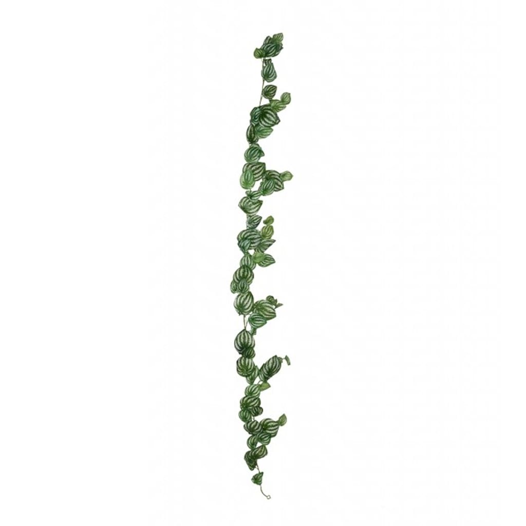 Peperomiagirlang 180cm grønn
