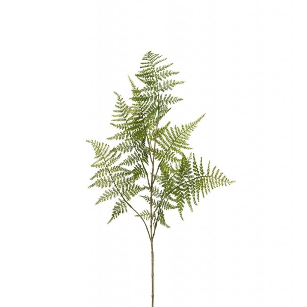 Aspargesblad 80cm
