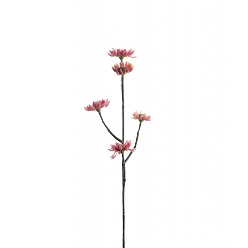 Eternell 50cm rosa