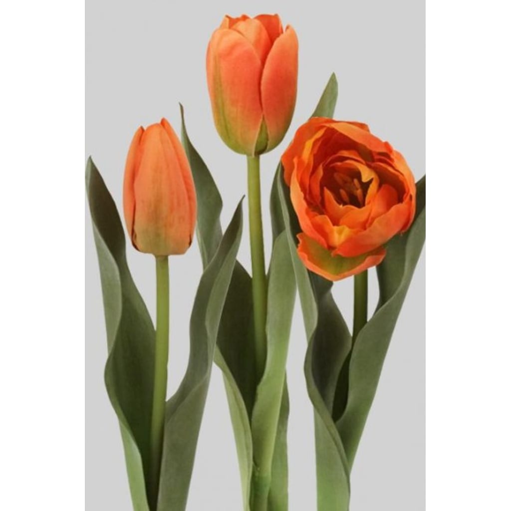 Tulipan Miks