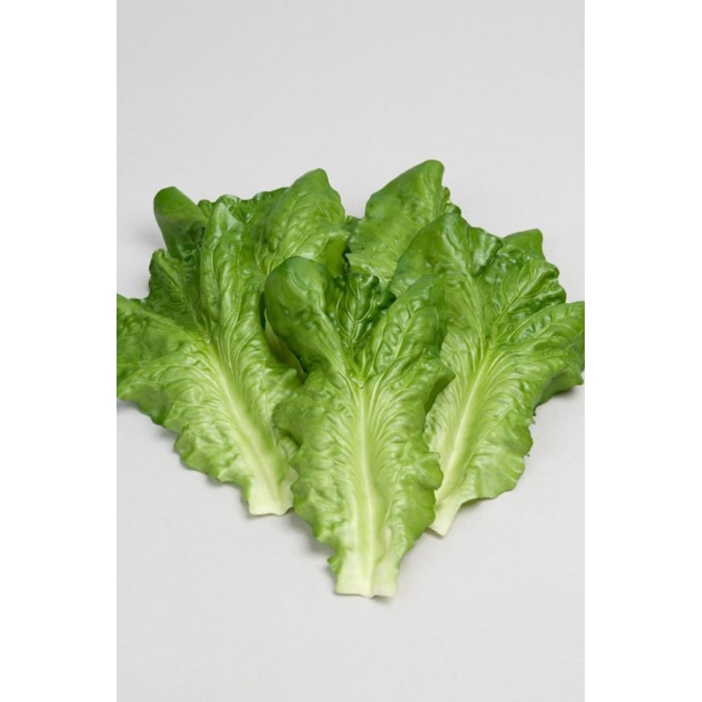Salatblader 6 stk.
