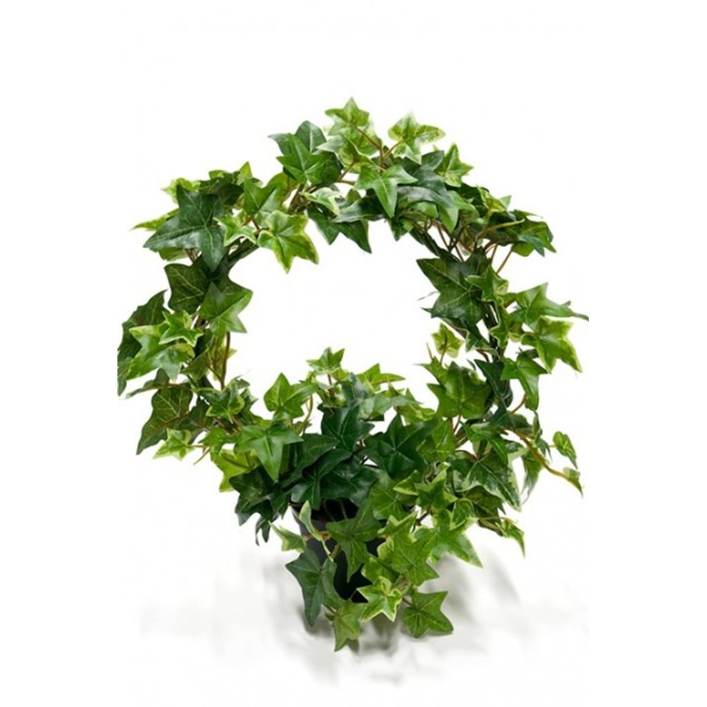 Eføyring 35cm