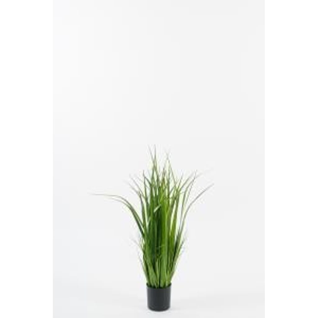 Gress 80cm