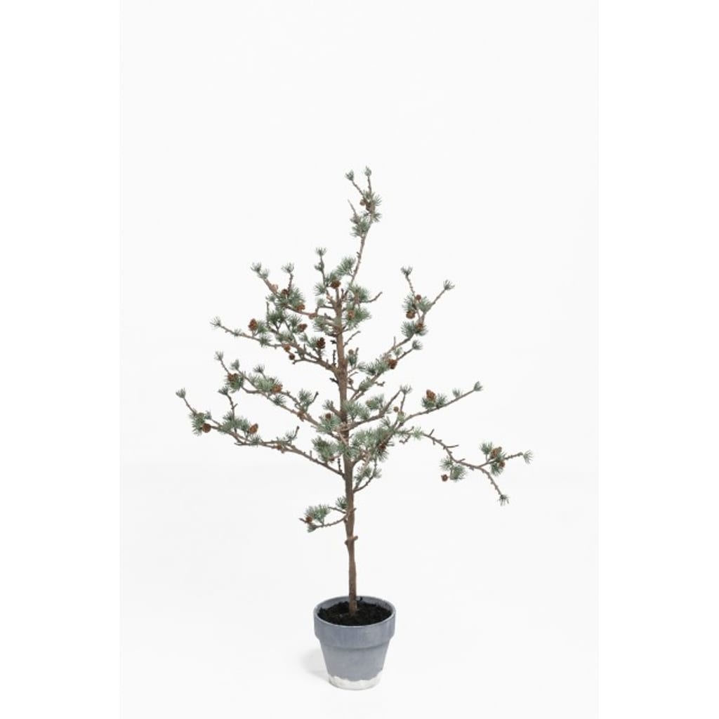Lerketre i potte 100cm