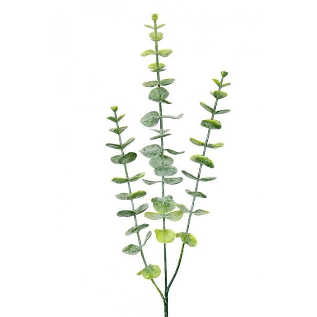 Eukalyptusgren 60cm