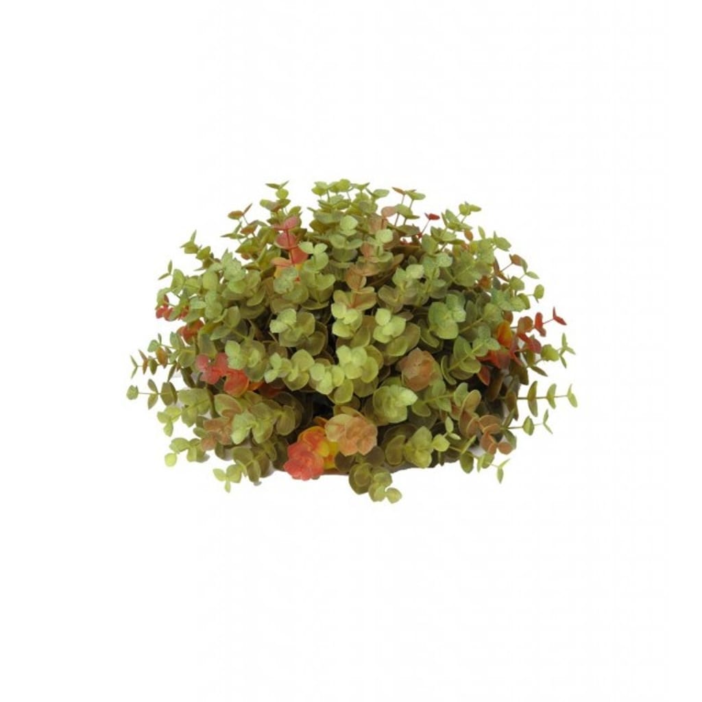 Eucalyptus 26 cm Høstfarger