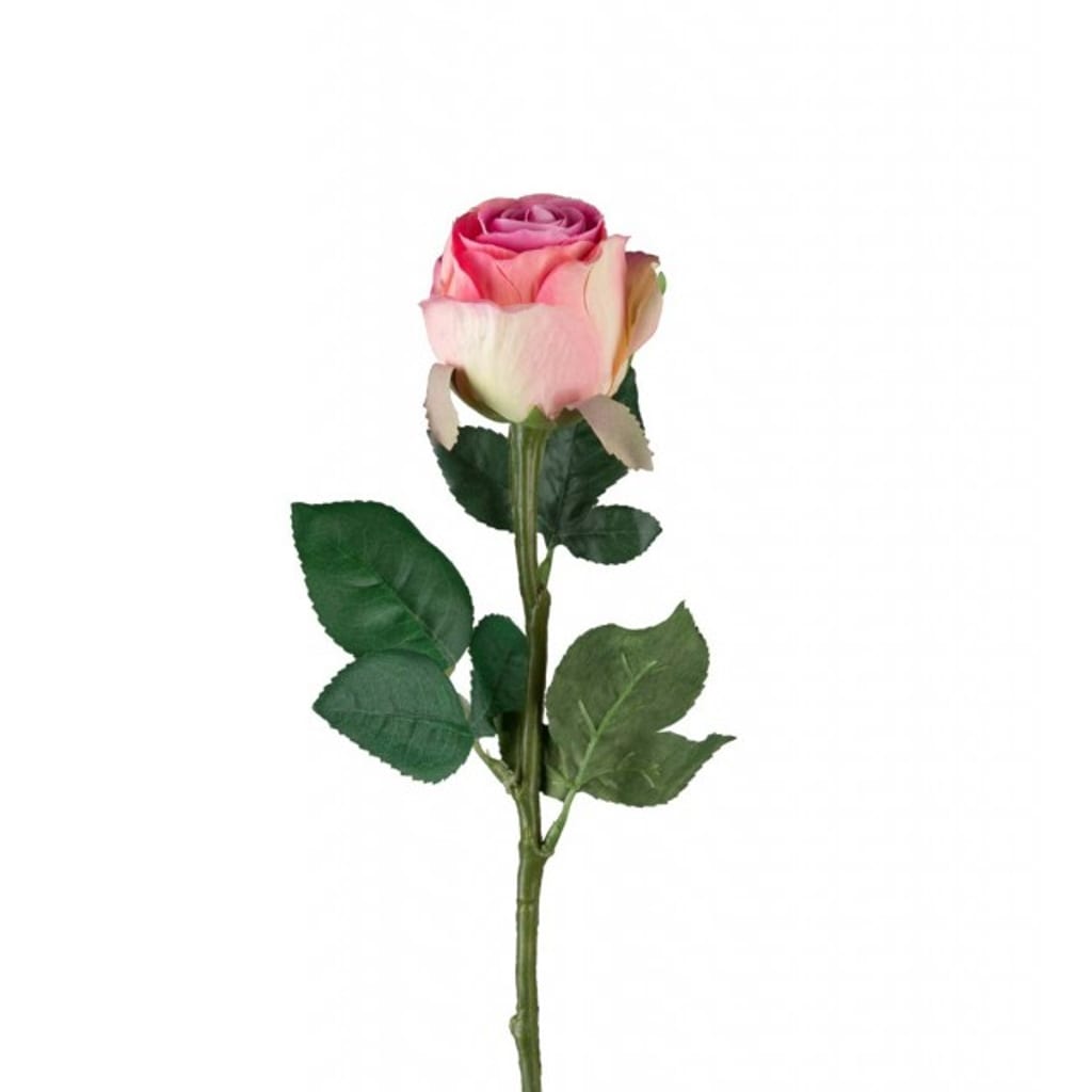 Rose 50cm rosa