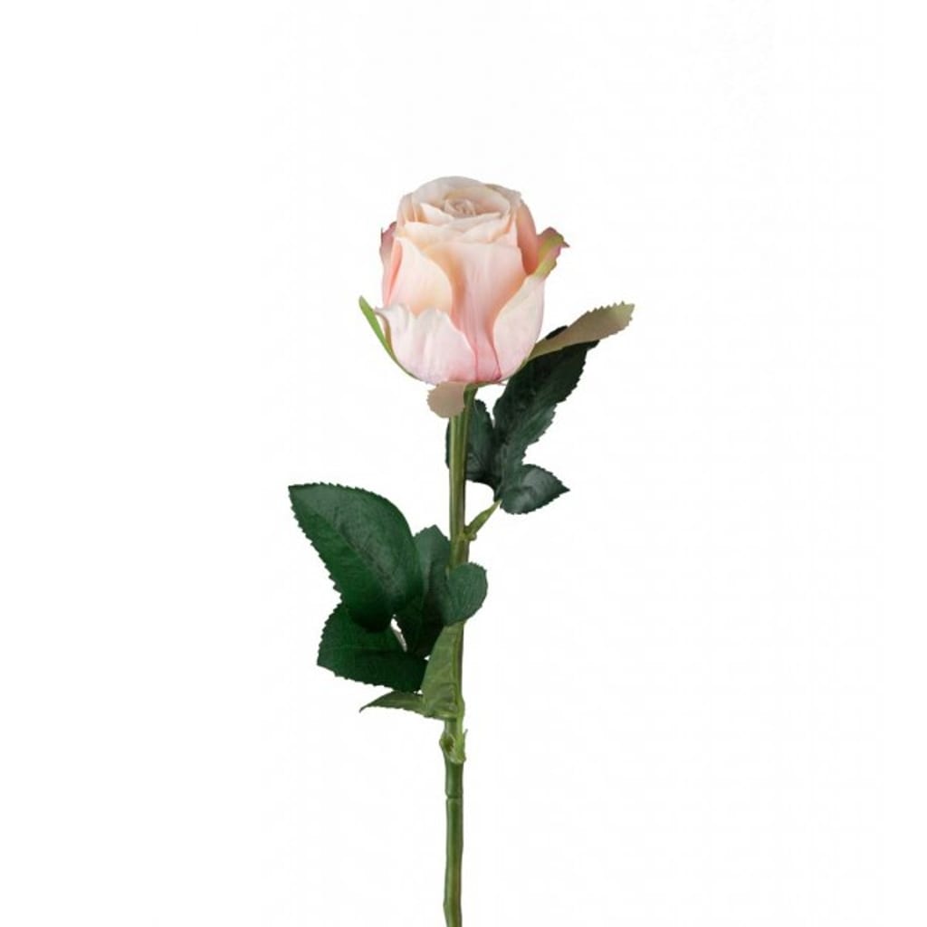 Rose 50cm rosa