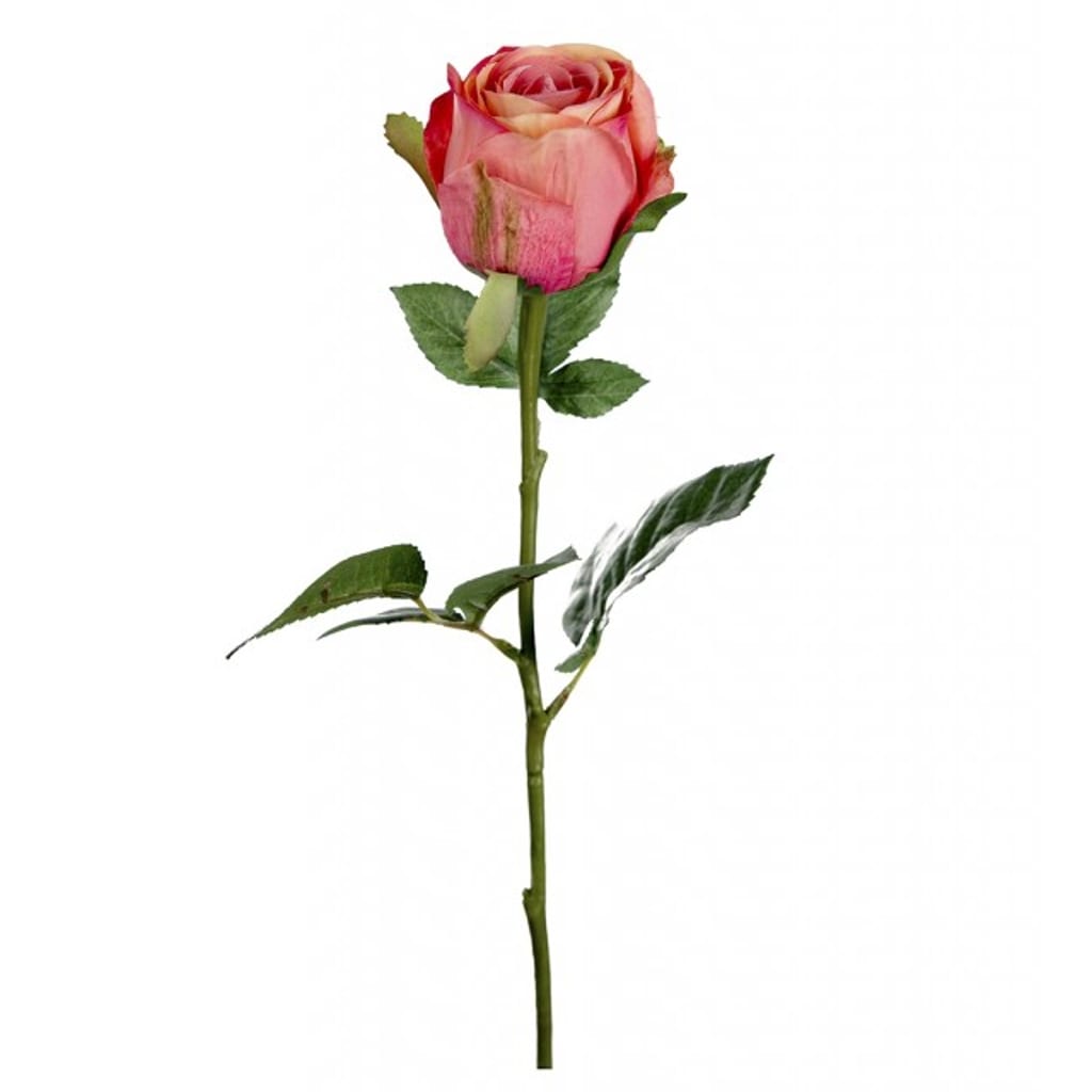 Rose 50cm oransje