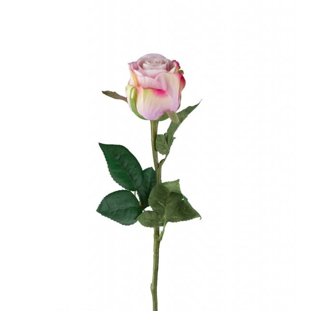 Rose 50cm lilla