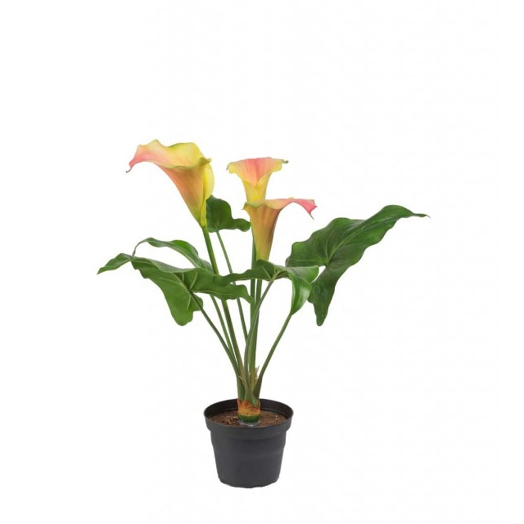 Calla 40cm oransje