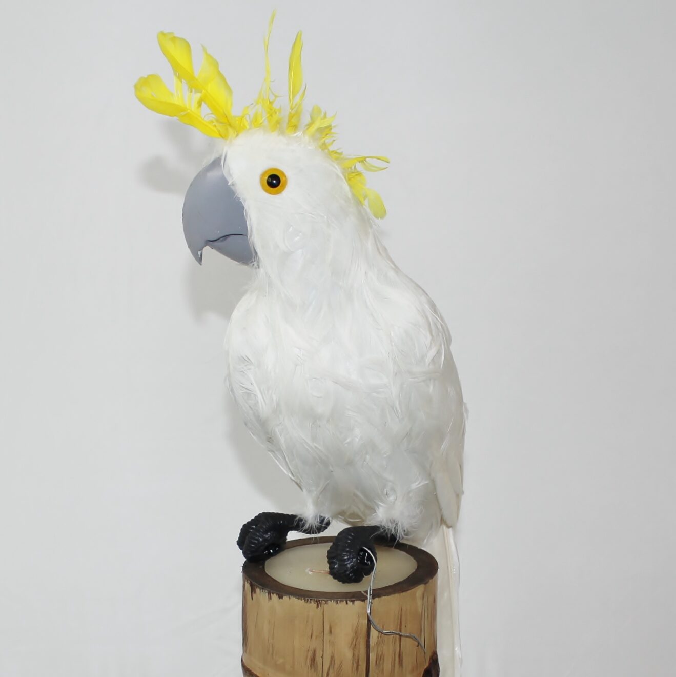 Eksotisk Kakadue Papegøye 35 cm - Realistisk Temadekor med Ekte Fjær