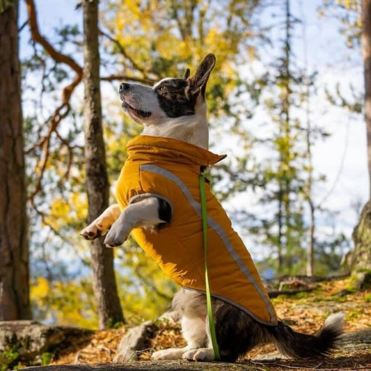 Hundejakke med fleece, XL–6XL – flere farger