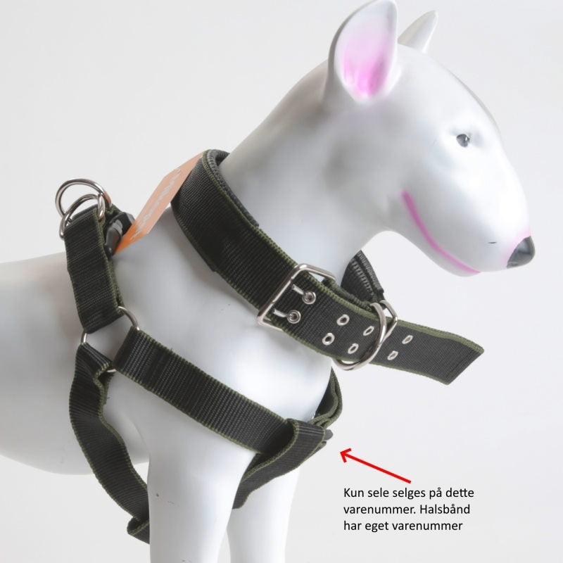 Step-in hundesele, flere farger, XS–XL