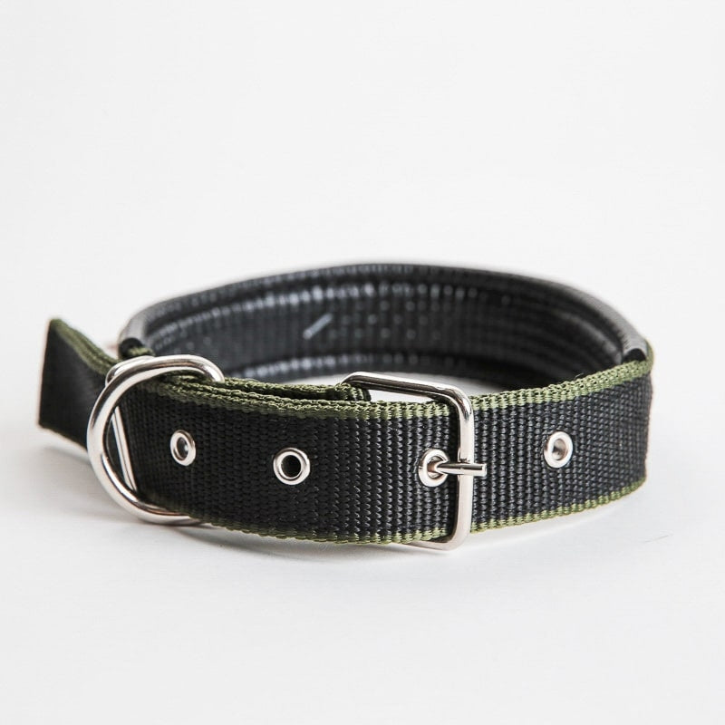 Polstret halsbånd til hund – flere farger (XS–XL)