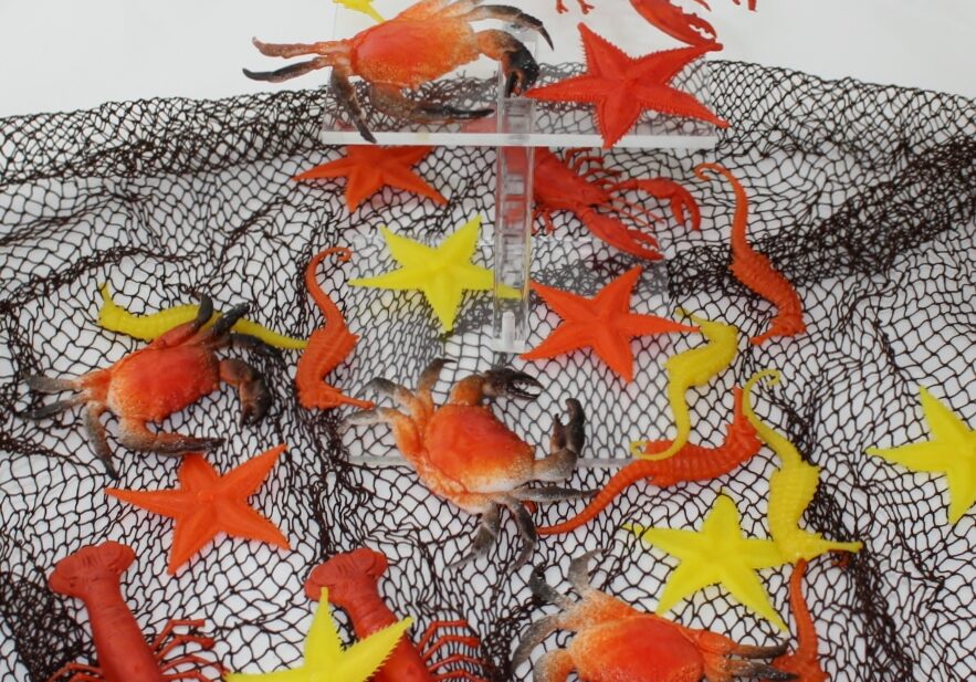 Maritim Dekor Fisk og Skalldyr Mini 24 Deler - Sjødyr i Plast