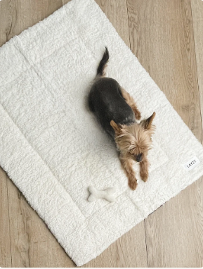 Layzy Hundedekken - Vanntett Reiseteppe til Hund