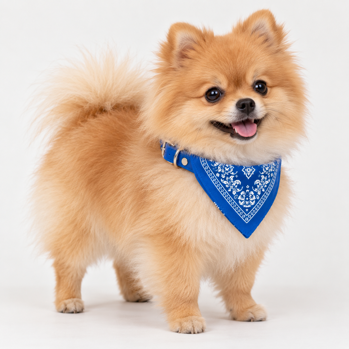 Halsbånd med bandana for hund – flere farger, 4 størrelser (S–XL)