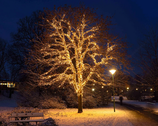 String lite LED lyslenke - 4,5 m