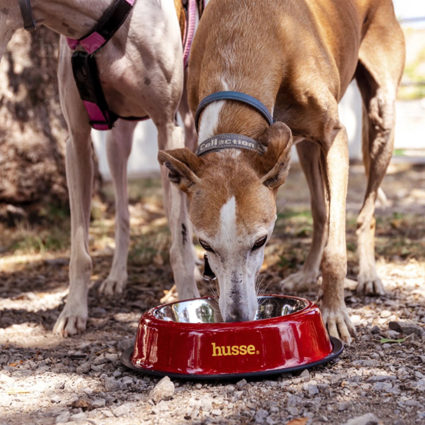 Husse matskål - hundeskål liten 21 cm