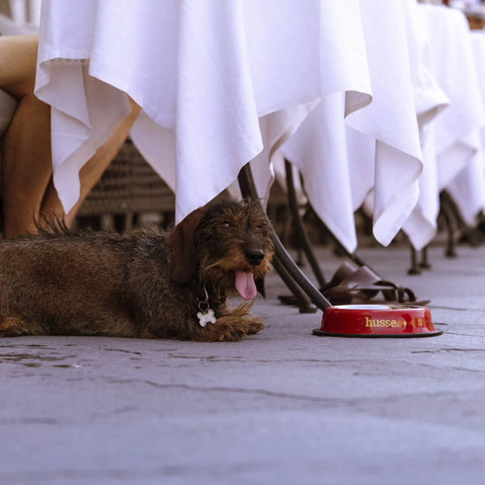 Husse matskål - hundeskål stor 30 cm