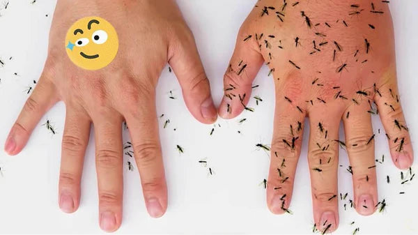 Myggplaster - anti mygg klistremerker - 60 stk