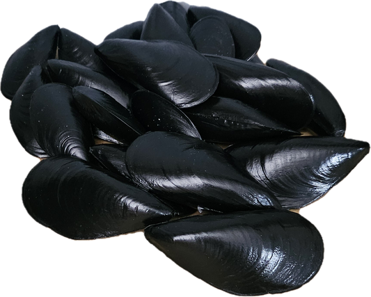 Kunstige Blåskjell 20 stk - Realistiske Havskjell til Dekorasjon