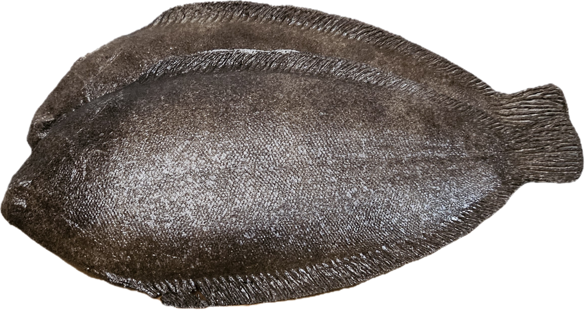 Kunstige Flyndre 20 cm - 2 stk Realistiske Fisk til Dekorasjon