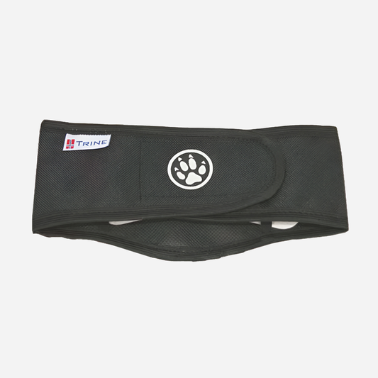 Trine Skvettlapp - Magebelte for Hannhunder