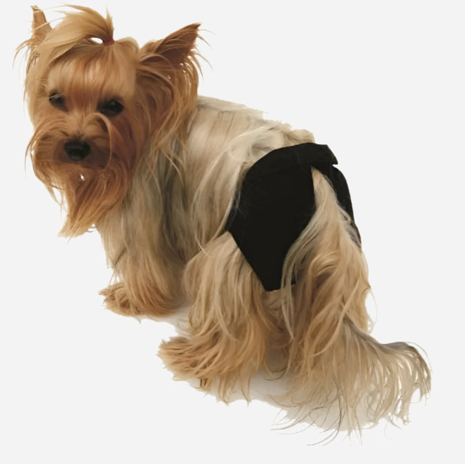 Trine Tispetruse Str 9 - Hundebleie med Borrelås 48-68 cm