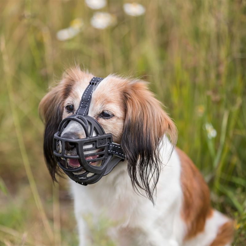 Trixie muzzle flex rubber munnkurv - Meget slitesterk