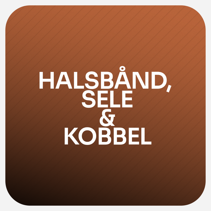 Halsbånd, Sele & Kobbel