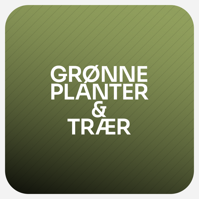 Grønne planter & trær