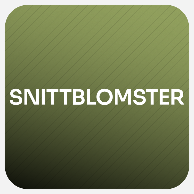 Snittblomster