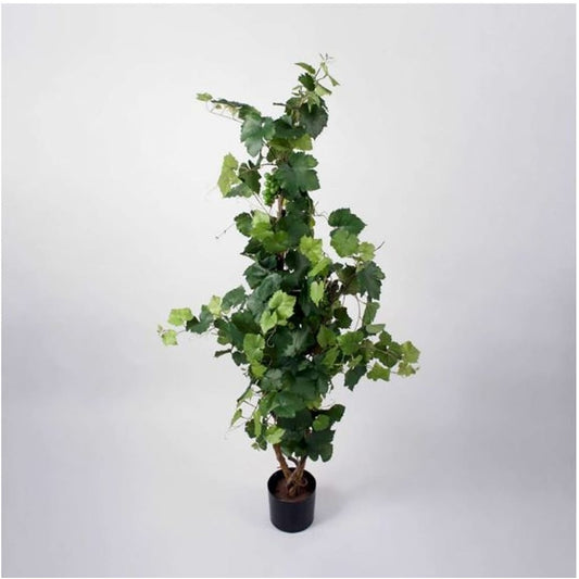 Drueplante 130cm