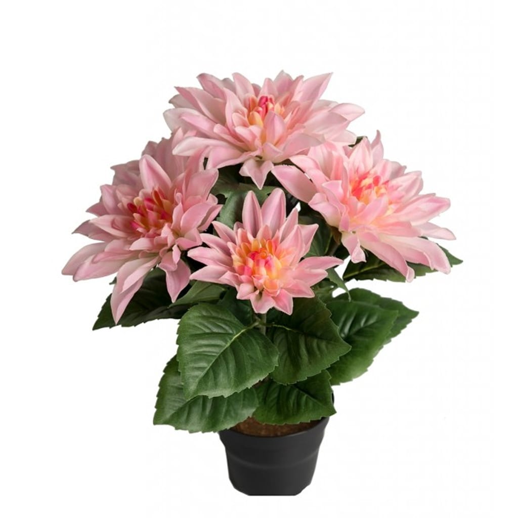 Dahlia 30cm Rosa