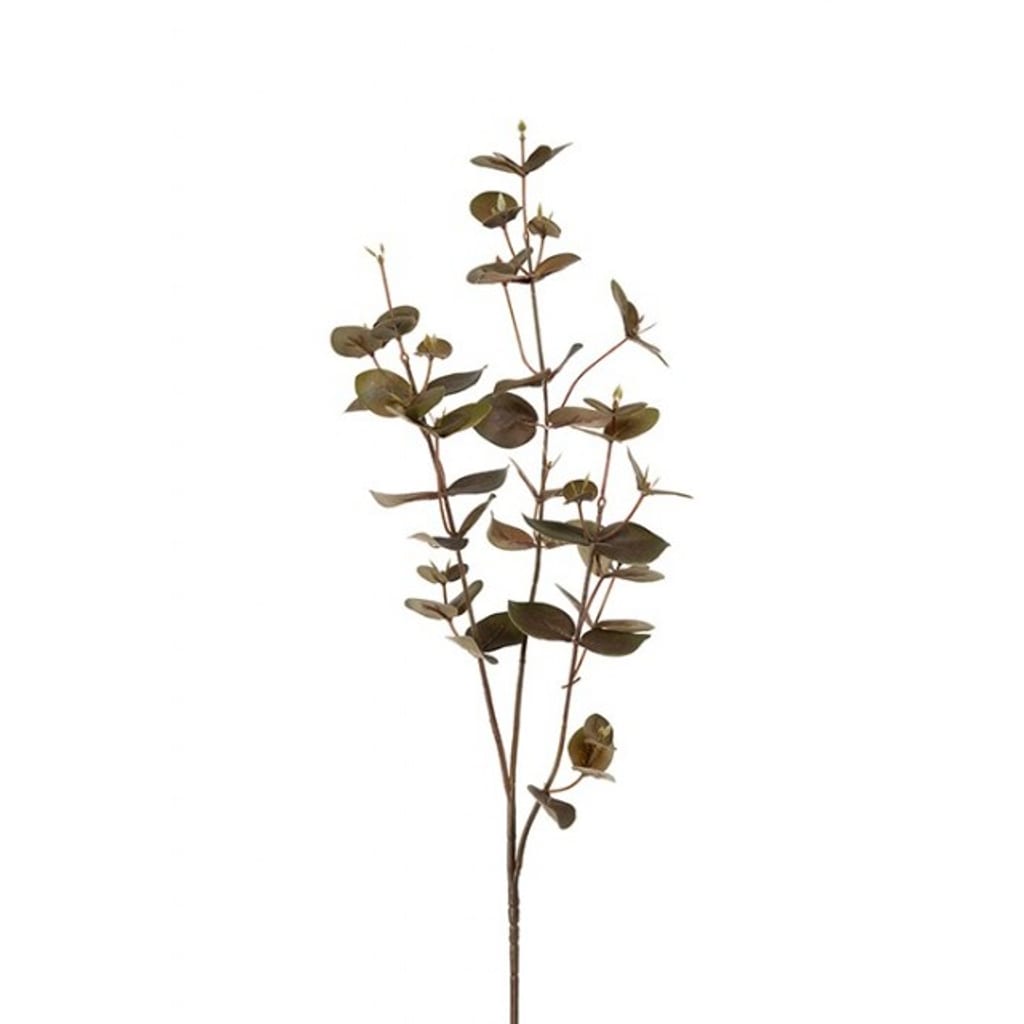 Eukalyptusgren 70cm