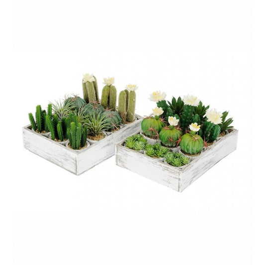Assorterte Kaktus 5-11cm - 24 stk
