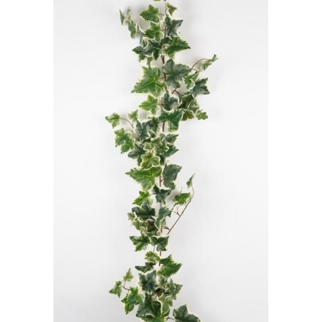 Eføygrilang 180cm Grønn/hvit