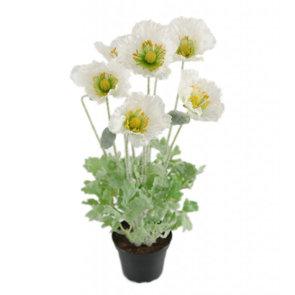 Valmue 40cm hvit