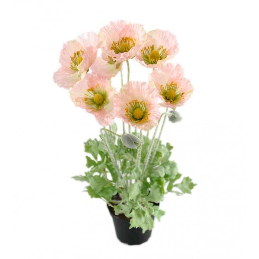 Valmue 40cm rosa