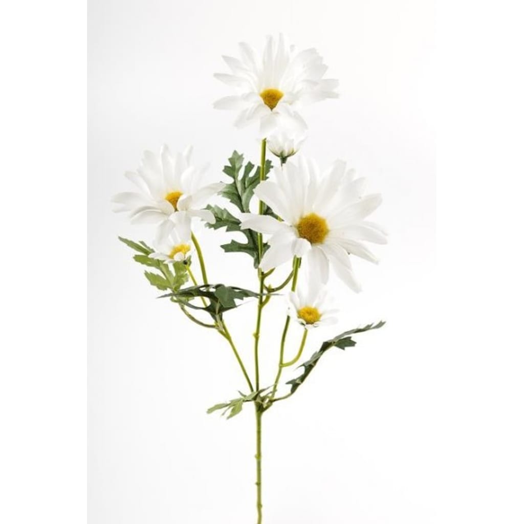 Prestekrage 50cm