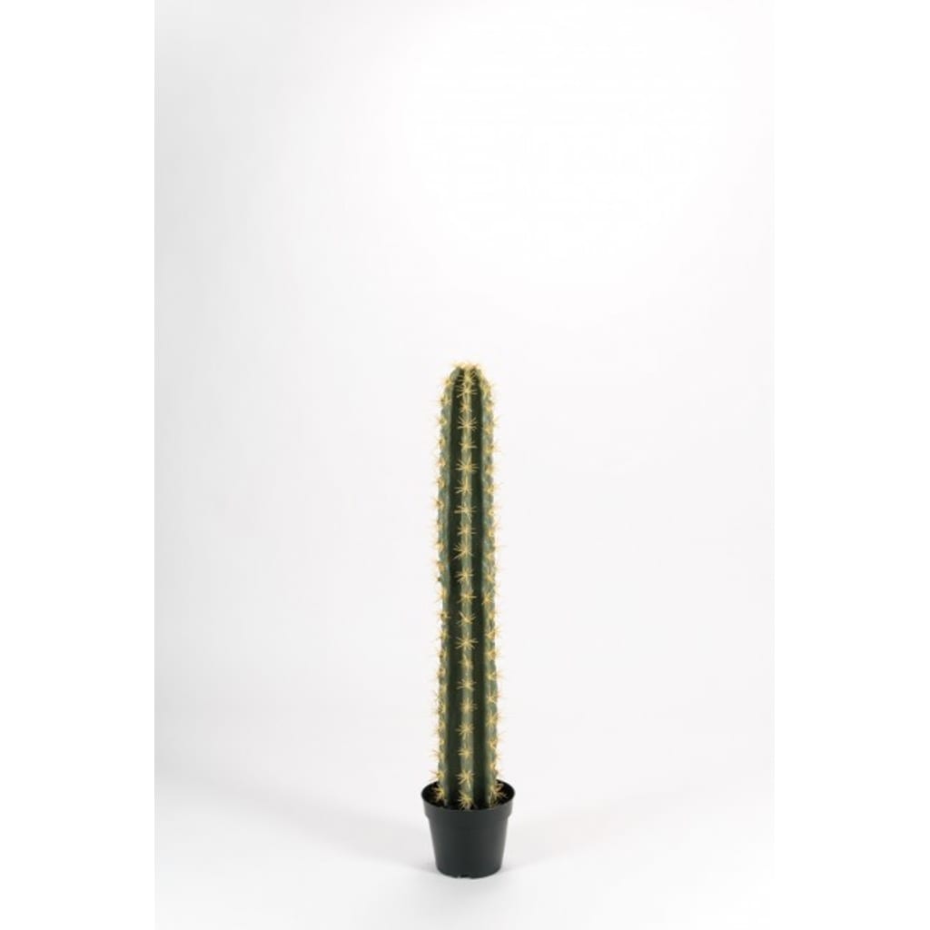 Kaktus 98cm